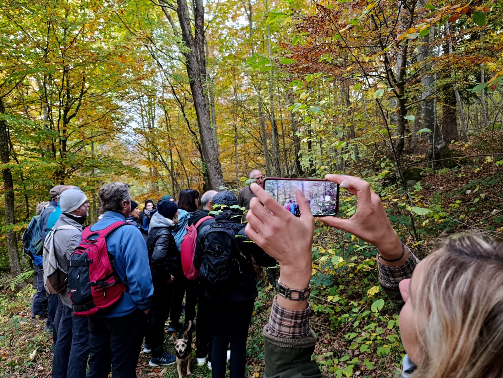 Immersione totale nel bosco